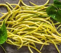 Heirloom Organic Cherokee Wax yellow bush bean seeds