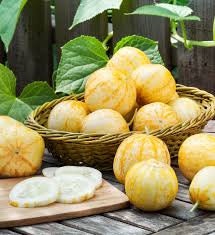 Rare Heirloom Organic Lemon Cucumber Seeds