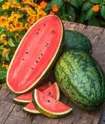 Heirloom Organic Georgia Rattlesnake Watermelon seeds