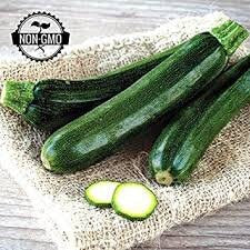 Heirloom Organic Grey Zucchini Seeds