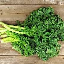 Heirloom Organic Dwarf Siberian Improved Kale Seeds