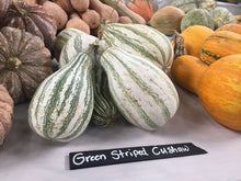 Load image into Gallery viewer, Heirloom Organic Green Striped Cushaw Pumpkin Seeds
