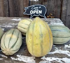 RARE Heirloom Organic Bidwell Casaba Melon Seeds