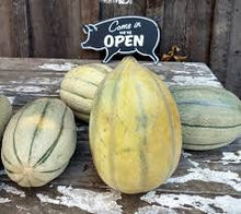 Load image into Gallery viewer, RARE Heirloom Organic Bidwell Casaba Melon Seeds
