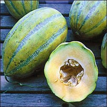 Load image into Gallery viewer, RARE Heirloom Organic Bidwell Casaba Melon Seeds
