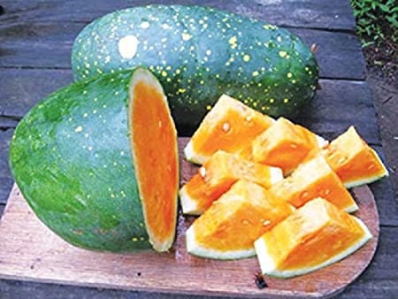 RARE Heirloom Organic YELLOW FLESH Moon and Stars Watermelon Seeds (Sun, Moon and stars Watermelon) Seeds