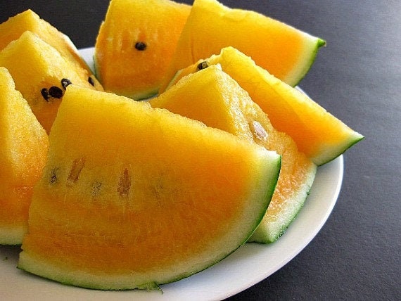 RARE Heirloom Organic YELLOW FLESH Moon and Stars Watermelon Seeds (Sun, Moon and stars Watermelon) Seeds