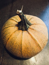 Load image into Gallery viewer, RARE Heirloom Organic Winter Luxury Pie Pumpkin Seeds

