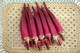 Heirloom Organic Red Burgundy Okra Seeds