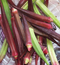 Load image into Gallery viewer, Heirloom Organic Red Burgundy Okra Seeds

