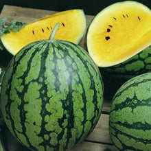 Load image into Gallery viewer, RARE Heirloom Organic Yellow Petite Watermelon Seeds
