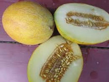 Load image into Gallery viewer, Rare Heirloom Organic Sharlyn Melon Seeds (Aka Pineapple Melon, Ananas Melon, Ananas D&#39;Amerique a Chair Verte)
