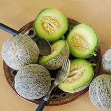 RARE Heirloom Organic Rocky Ford Green Flesh Melon Seeds (Aka Eden Gem Melon)