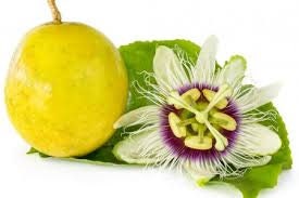 Organic Yellow Passion Fruit Vine Seeds