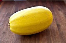 Load image into Gallery viewer, Organic Heirloom Spaghetti Squash Seeds
