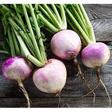 heirloom Organic Purple Top Turnip Seeds