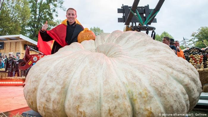 VERY RARE Heirloom Organic Giant Show Winner Pumpkin Seeds