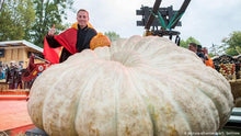 Load image into Gallery viewer, VERY RARE Heirloom Organic Giant Show Winner Pumpkin Seeds
