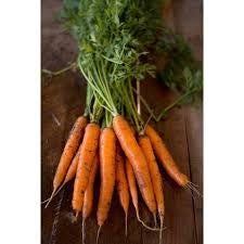 Heirloom Organic Tendersweet Carrot Seeds