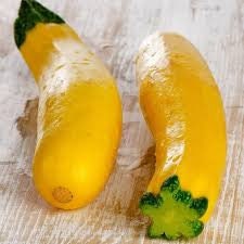 Heirloom Organic Early Prolific Straight neck Squash Seeds