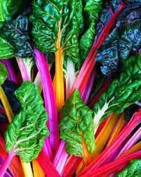 Heirloom Organic Rainbow Swiss Chard Seeds