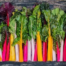 Heirloom Organic Rainbow Swiss Chard Seeds