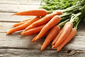 Organic Long Imperator Carrot Seeds