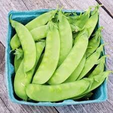 Organic Oregon Sugar Pod Pea Seeds