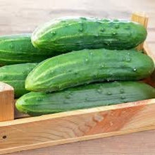 Load image into Gallery viewer, Heirloom Organic Spacemaster Bush-Type Cucumber Seeds

