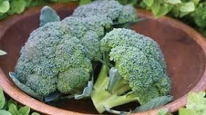 Organic Heirloom Sun King Broccoli Seeds