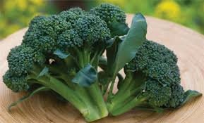 Organic Heirloom Sun King Broccoli Seeds