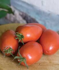 Heirloom Organic Big Mama Tomato Seeds