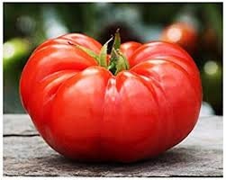 Organic Heirloom Delicious Tomato Seeds
