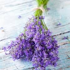 Heirloom Organic English Lavender Seeds