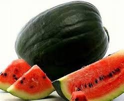 Heirloom Organic Black Diamond Watermelon Seeds (aka Cannonball Watermelon, Florida Giant Watermelon)