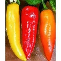 Load image into Gallery viewer, Heirloom Organic Santa Fe Hot Pepper Seeds (A.K.A. Guero Pepper, Yellow Guero Chili Pepper, Yellow Hot Chili Pepper)
