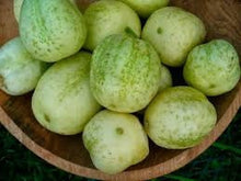 Load image into Gallery viewer, Organic Heirloom Crystal Apple Cucumber Seeds
