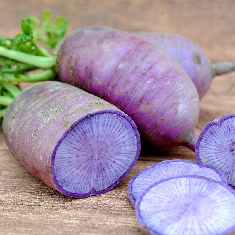 Rare Organic Heirloom BlueMoon Radish Seeds