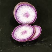 Load image into Gallery viewer, Rare Organic Heirloom BlueMoon Radish Seeds
