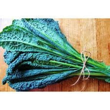 Load image into Gallery viewer, Heirloom Organic Dinosaur Kale Seeds (AKA Toscano Kale / Tuscan Kale / Italian Kale / Dinosaur Kale / Cavolo Nero / Black Leaf )
