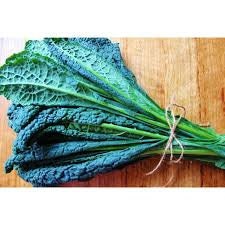 Heirloom Organic Dinosaur Kale Seeds (AKA Toscano Kale / Tuscan Kale / Italian Kale / Dinosaur Kale / Cavolo Nero / Black Leaf )
