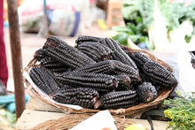 Load image into Gallery viewer, RARE  (NATIVE AMERICAN) Heirloom Organic Black Aztec Corn Seeds (Black Mexican Corn) Seeds
