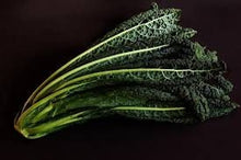 Load image into Gallery viewer, Heirloom Organic Black Magic Lacinato Kale Seeds
