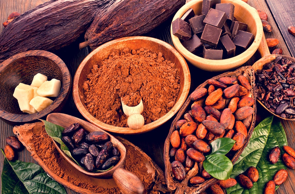 Heirloom Organic Theobroma Cacao Tree Seeds (Chocolate Tree, Cocoa Bean Tree) Raw Food Grade Dry