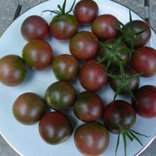Load image into Gallery viewer, Heirloom Organic Chocolate Cherry Tomato Seeds Solanum lycopersicum
