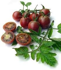 Heirloom Organic Chocolate Cherry Tomato Seeds Solanum lycopersicum