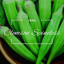 Load image into Gallery viewer, Heirloom Organic Clemson Spineless Okra Seeds

