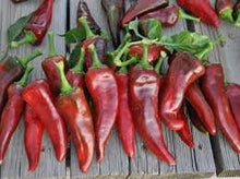 Load image into Gallery viewer, Organic Pueblo Hot Pepper Seeds
