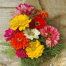 Load image into Gallery viewer, Organic Heirloom State Fair Zinnia Flower Seed Mix
