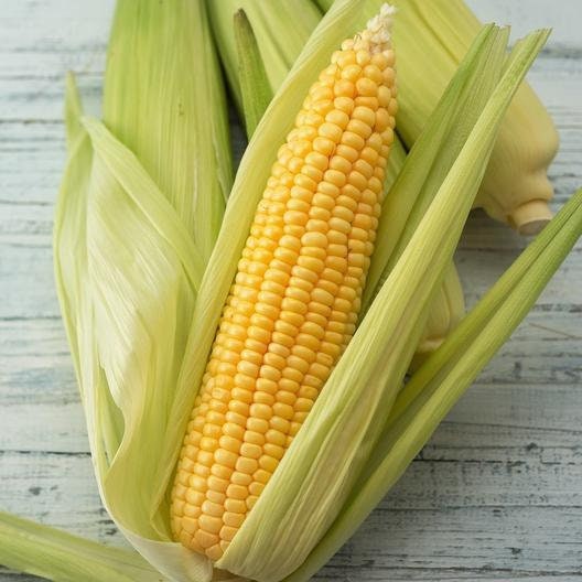 Organic Heirloom Early Golden Bantam Sweet Corn Seeds